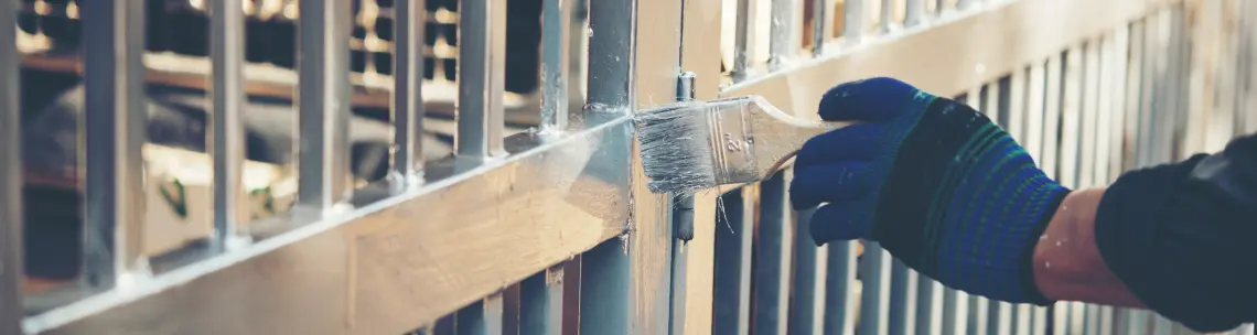 professional detailing